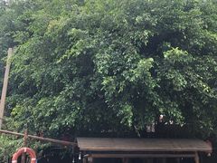 -五邑人家(江门店)