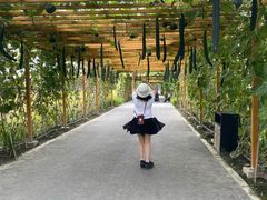 -中国天府农业博览园