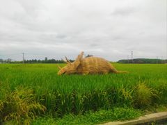 -嘉北郊野公园