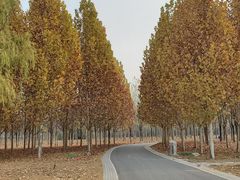 -东郊湿地公园