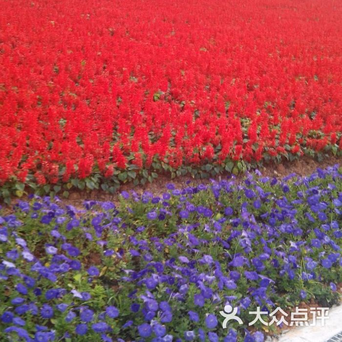 雨發生態園酒店