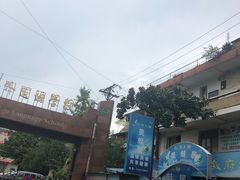 -美蛙居