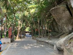 -海南分界洲岛旅游区