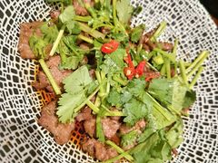 香菜牛肉-掌上鲜(南顺城街店)