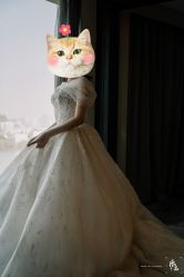 -MuseMarry婚纱(前海嘉里中心店)