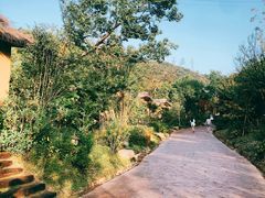 -杭州开元森泊度假乐园