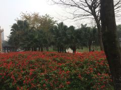 -水晶广场