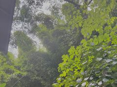 -懒鱼时光馆(沙坪坝店)