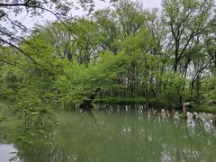 -西溪南古村落