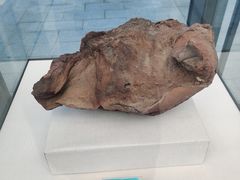 -房山世界地质公园博物馆