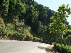 -火炉山森林公园