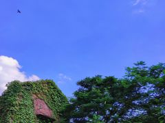 -伦教678文化街