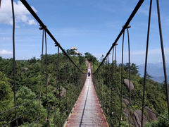 -玉苍山国家森林公园