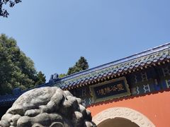 -灵谷景区