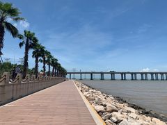 -宝安西湾红树林湿地公园