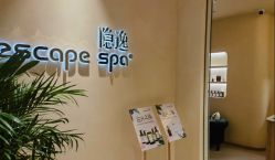 -隐逸SPA