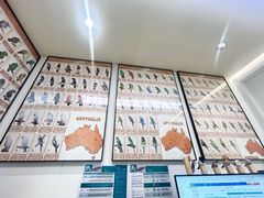 -立德异宠动物医院.兔鸟爬.内窥镜(天河店)