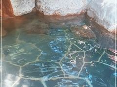 -广州锦绣香江度假别墅