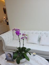 -海涛医疗美容·面部抗衰·注射美鼻