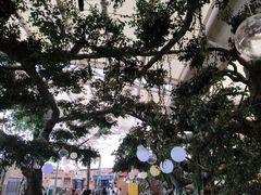 -杭州浪浪浪水公园