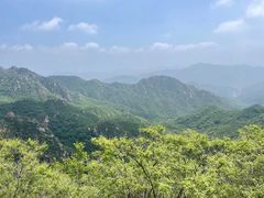 -大岭沟猕猴桃谷风景区