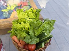 -HERRE·FARM 赫尔露营农场·团建聚会包场