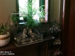 -莱蔻·圣灸堂·推拿艾灸(天山店)