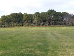 -昆山城市生态森林公园