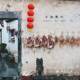 世界遗产必打卡|黄山脚下西递古镇旅游攻略