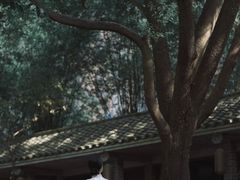 -竹吟山房