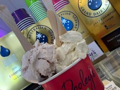 -Dooley's Premium Ice Cream