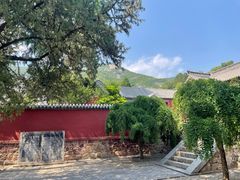 -普照寺