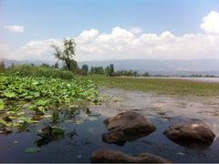 iphone_upload_pic-西昌邛海湿地