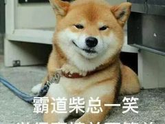 -北京科技大学-游泳馆