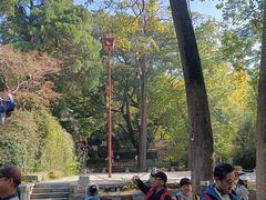 -青岛崂山太清宫