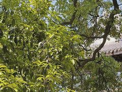 -苏州吴中太湖旅游区