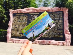 -中国西峡恐龙遗迹园