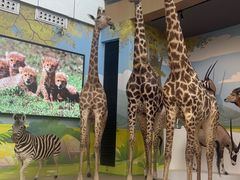 -陕西自然博物馆