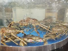 水产区-太子园林酒家