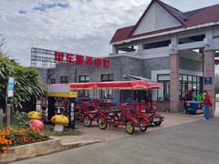 -上海都市菜园