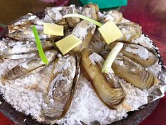 -罗源湾8号渔排