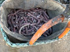 -北海金海湾红树林生态旅游区