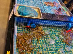 -一麦·龙岛(上海青浦店)