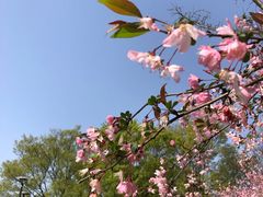 -石湖景区