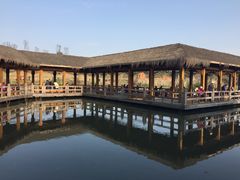 -白鹭湾湿地公园