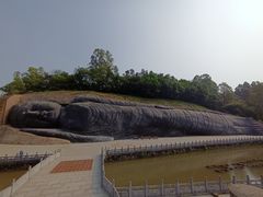 -三水森林公园