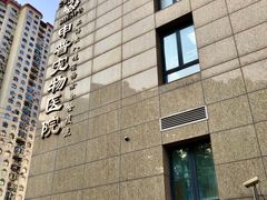 -申普宠物医院·心脏介入·心血管微创(总院)