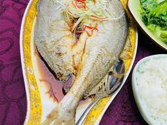 脆磷蒜香鲈鱼-万柳阁小馆·花园餐厅(龙潭湖店)