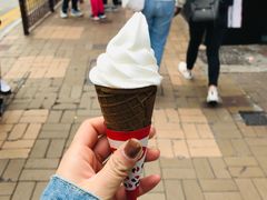 -富豪雪糕车流动点(尖沙咀店)