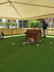 -萌宠亲子动物乐园(槐房万达店)